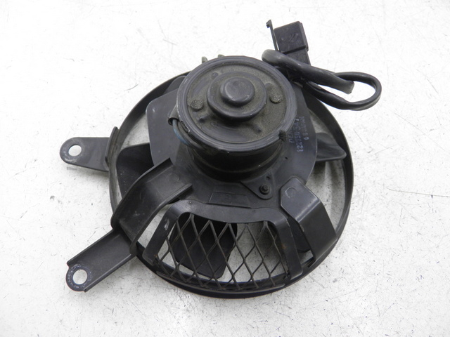 photo de FAN SUZUKI SV S 650 (1999 - 2002)