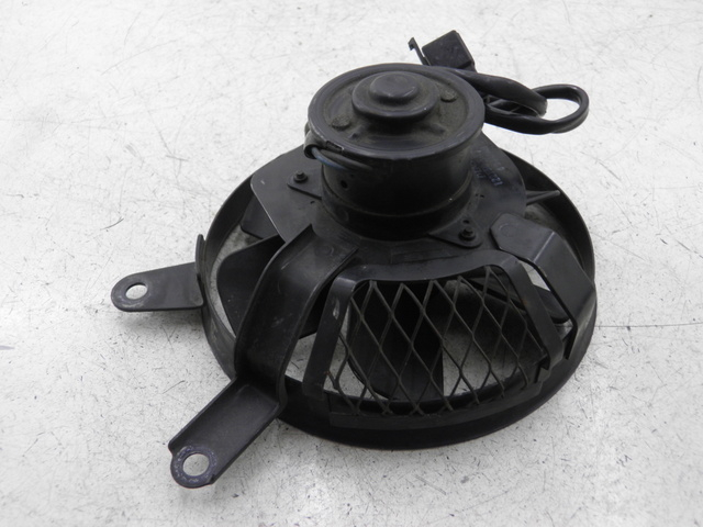 photo de FAN SUZUKI SV S 650 (1999 - 2002)
