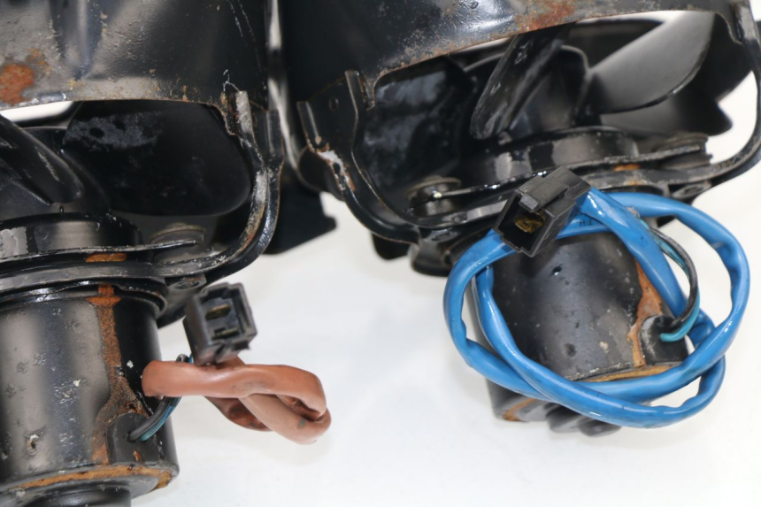 photo de FAN HONDA VF 1000 (1984 - 1988)