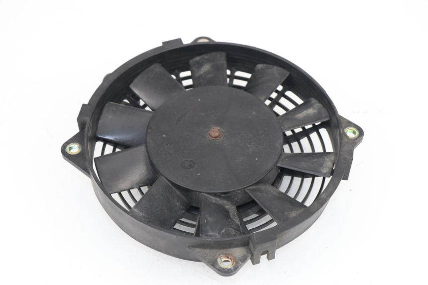 photo de FAN KYMCO XCITING 500 (2007 - 2010)