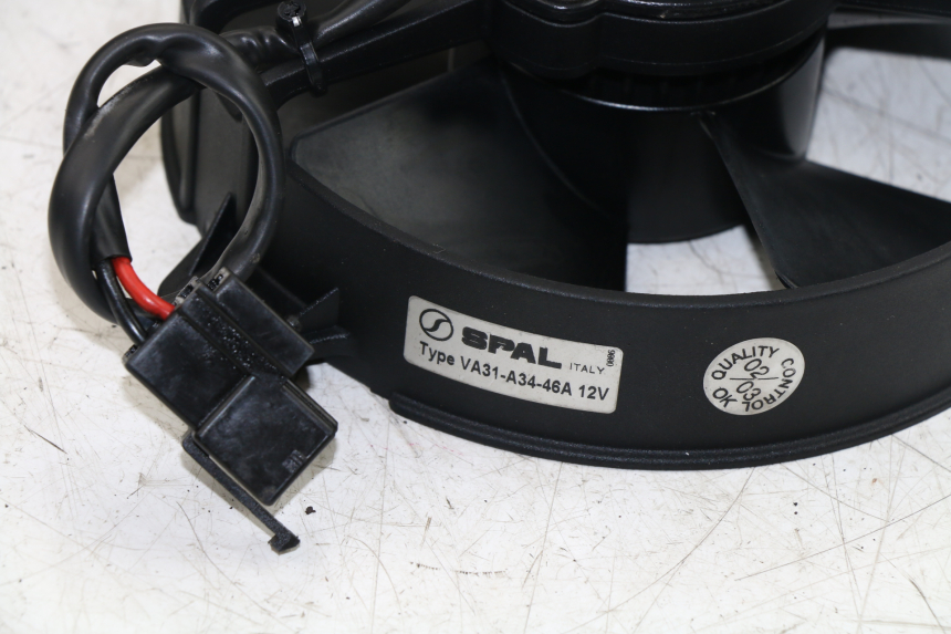 photo de FAN YAMAHA YP MAJESTY 125 (2002 - 2006)