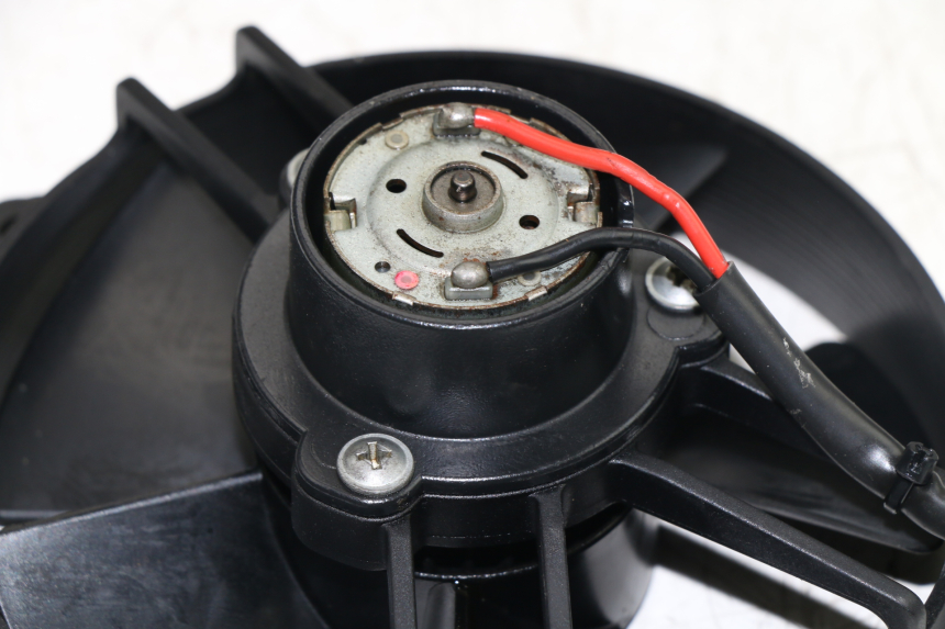 photo de FAN YAMAHA YP MAJESTY 125 (2002 - 2006)