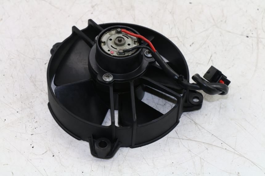 photo de FAN YAMAHA YP MAJESTY 125 (2002 - 2006)