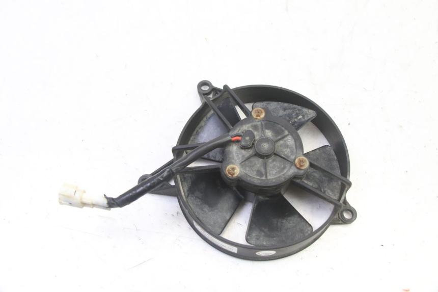 photo de FAN YAMAHA YFM BRUIN 350 (2003 - 2009)