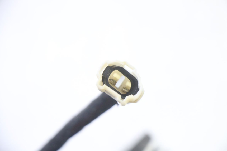 photo de FAN YAMAHA YFM BRUIN 350 (2003 - 2009)