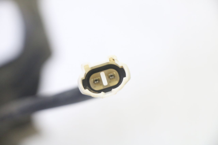 photo de FAN YAMAHA YFM GRIZZLY 550 (2008 - 2015)