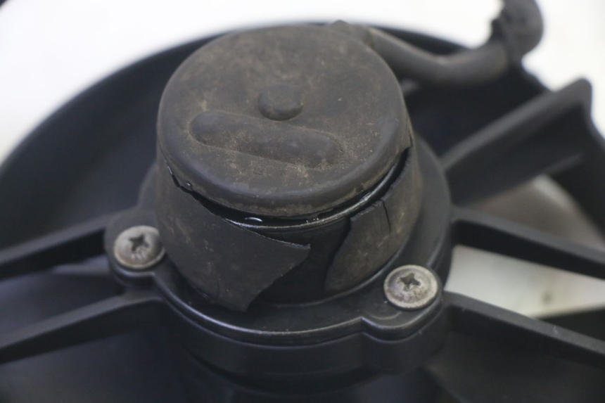 photo de FAN YAMAHA YP MAJESTY 125 (2007 - 2010)