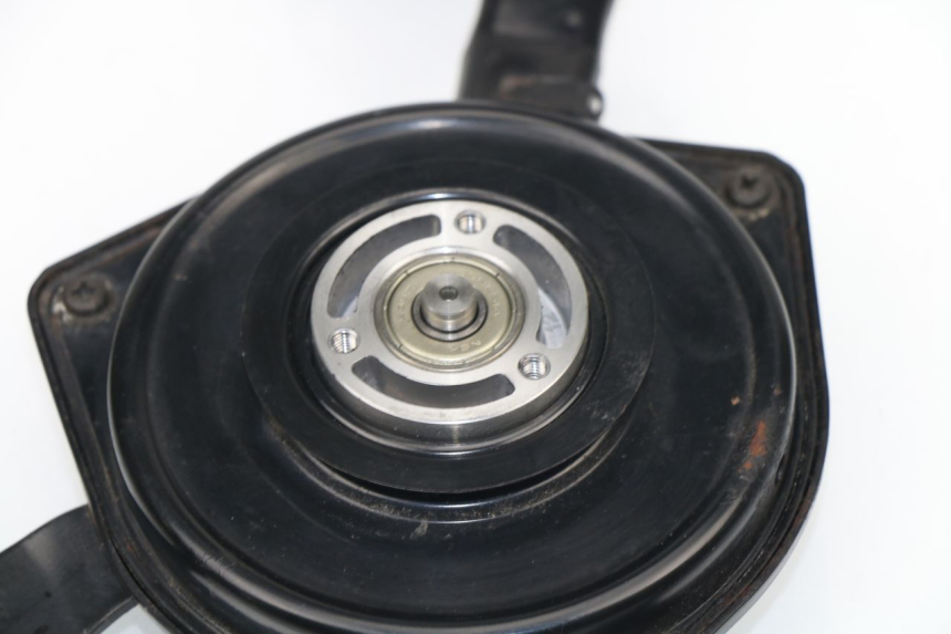 photo de FAN YAMAHA YZF R1 1000 (2002 - 2003)